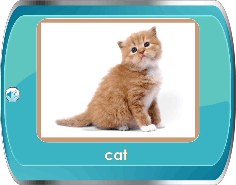 learn about animals in english