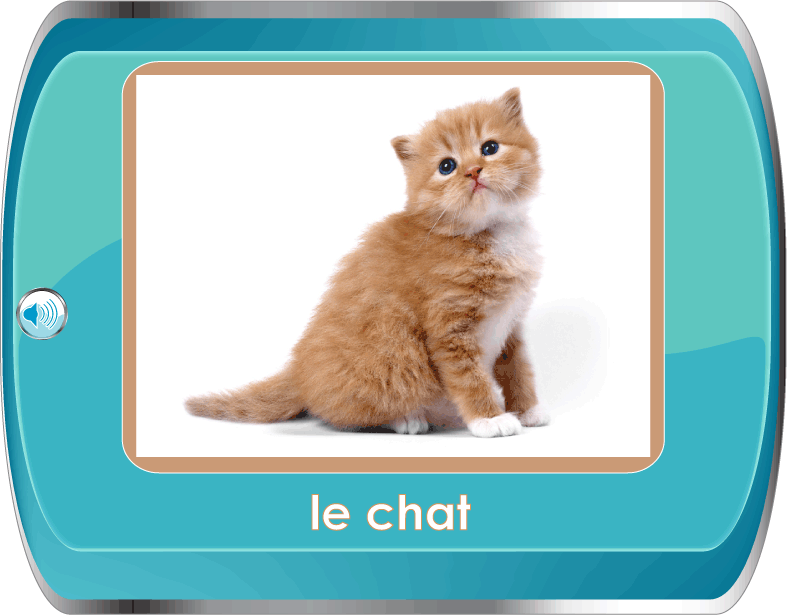 learn about animals in french