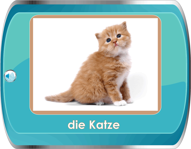 learn about animals in german