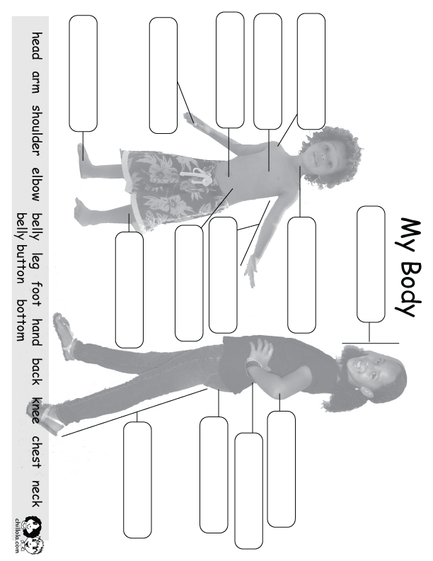 my body english