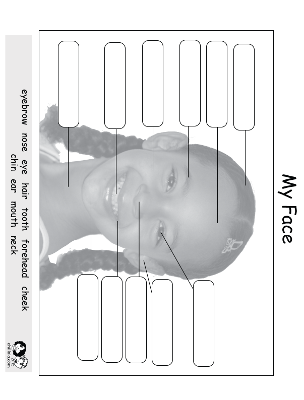 my face english