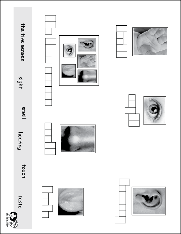 the five senses english