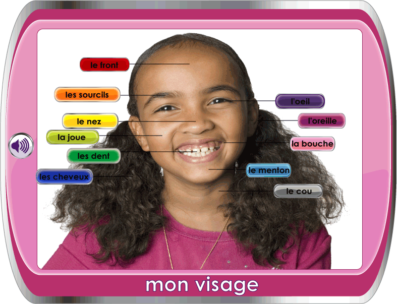 learn about body parts in french