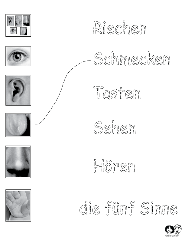 the five senses german