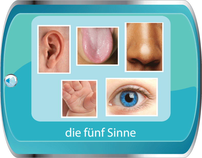 the five senses german
