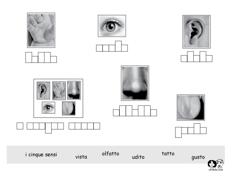 the five senses italian