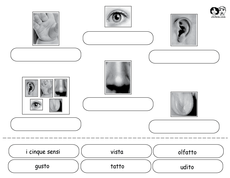 the five senses italian