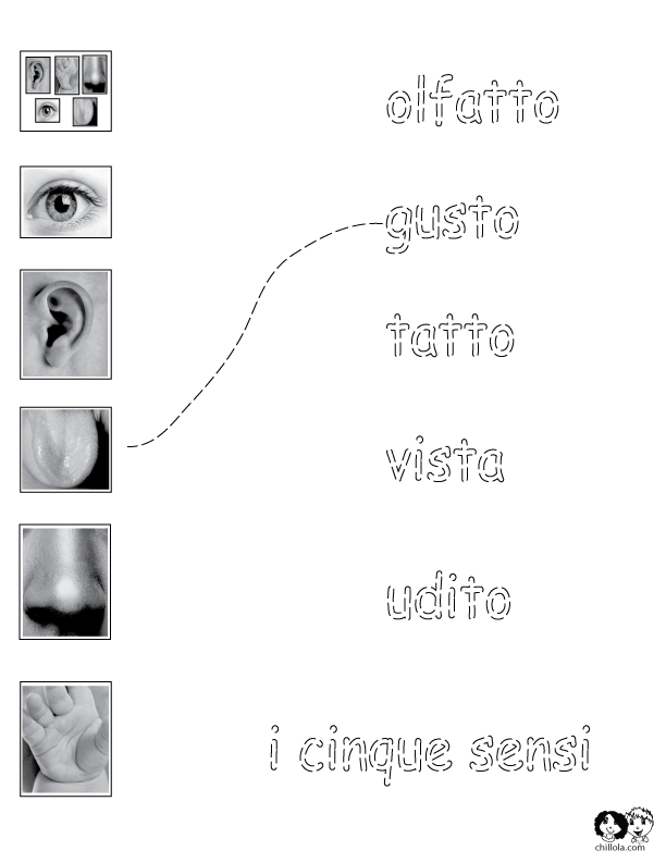 the five senses italian