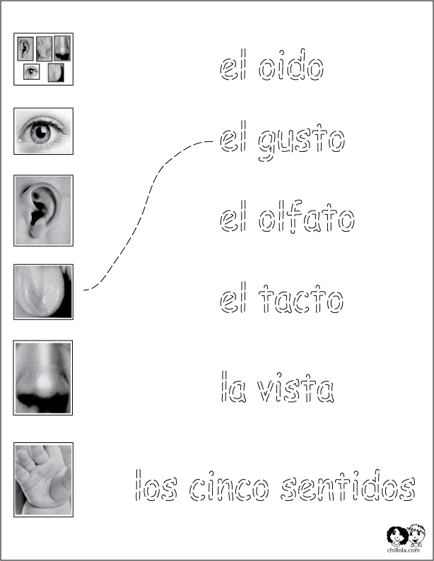 the five senses spanish